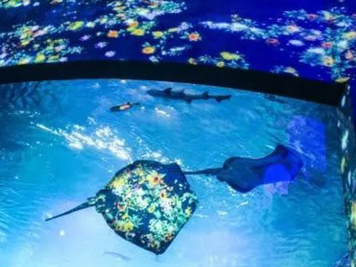 水族馆维生系统