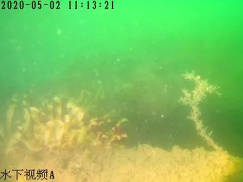 洋牧场在线监测系统 ZHYY