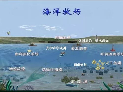 海洋牧场建设管理系统平台