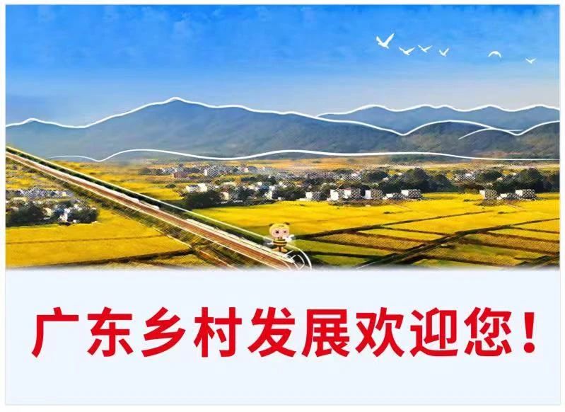 微信图片_2025-07-03_095229_229.jpg