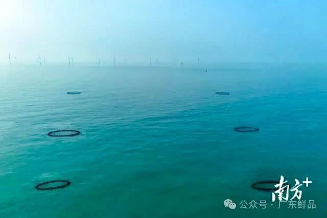 微信图片_2025-07-07_093718_096.jpg