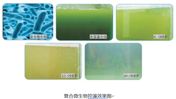 wechat_2025-07-09_171145_977.png