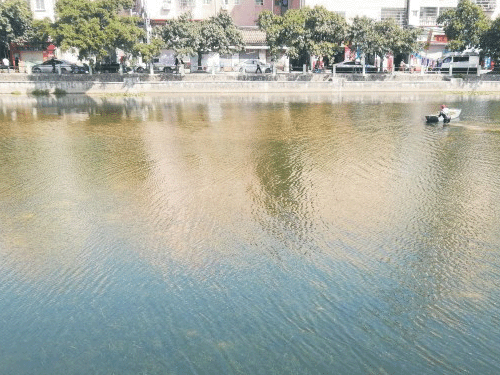 广东某城中村水体生态修复项目