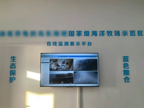未标题-14.png