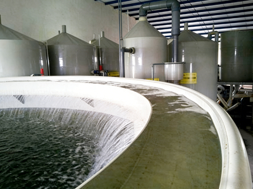 无人工厂化水产养殖系统